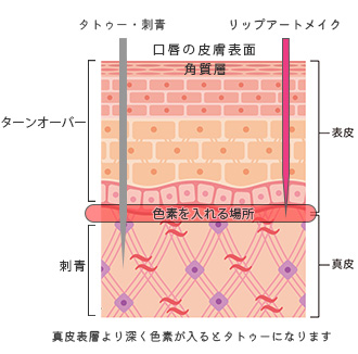 リップアートメイクとは